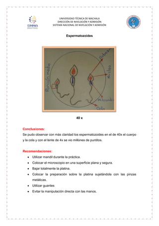 UNIVERSIDAD TÉCNICA DE MACHALA
DIRECCIÓN DE NIVELACIÓN Y ADMISIÓN
SISTEMA NACIONAL DE NIVELACIÓN Y ADMISIÓN

Espermatozoides

40 x

Conclusiones:
Se pudo observar con más claridad los espermatozoides en el de 40x el cuerpo
y la cola y con el lente de 4x se vio millones de puntitos.

Recomendaciones:
Utilizar mandil durante la práctica.
Colocar el microscopio en una superficie plana y segura.
Bajar totalmente la platina.
Colocar la preparación sobre la platina sujetándola con las pinzas
metálicas.
Utilizar guantes
Evitar la manipulación directa con las manos.

 