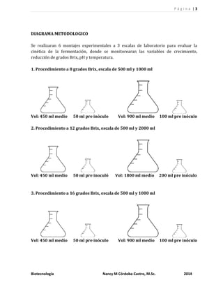 P á g i n a | 3
Biotecnología Nancy M Córdoba-Castro, M.Sc. 2014
DIAGRAMA METODOLOGICO
Se realizaran 6 montajes experimentales a 3 escalas de laboratorio para evaluar la
cinética de la fermentación, donde se monitorearan las variables de crecimiento,
reducción de grados Brix, pH y temperatura.
1. Procedimiento a 8 grados Brix, escala de 500 ml y 1000 ml
Vol: 450 ml medio 50 ml pre inóculo Vol: 900 ml medio 100 ml pre inóculo
2. Procedimiento a 12 grados Brix, escala de 500 ml y 2000 ml
Vol: 450 ml medio 50 ml pre inoculó Vol: 1800 ml medio 200 ml pre inóculo
3. Procedimiento a 16 grados Brix, escala de 500 ml y 1000 ml
Vol: 450 ml medio 50 ml pre inóculo Vol: 900 ml medio 100 ml pre inóculo
 