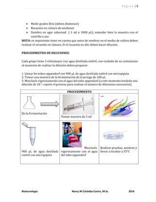 P á g i n a | 5
Biotecnología Nancy M Córdoba-Castro, M.Sc. 2014
 Medir grados Brix (deben disminuir)
 Recuento en cámara de neubauer
 Siembra en agar saboraud ( 1 ml o 1000 µL), extender bien la muestra con el
rastrillo o asa
NOTA: es importante tener en cuenta que antes de sembrar en el medio de cultivo deben
realizar el recuento en cámara. Si el recuento es alto deben hacer dilución.
PROCEDIMIETNO DE DILUCIONES:
Cada grupo tiene 3 erlenmeyer con agua destilada estéril, con cuidado de no contaminar
al momento de realizar la dilución deben preparar:
1. Llenar los tubos eppendorf con 900 µL de agua destilada estéril con micropipeta
2. Tomar una muestra de la fermentación de la jeringa de 100 µL
3. Mezclarla vigorosamente con el agua del tubo eppendorf (a este momento tendrán una
dilución de 10-1, repetir el proceso para realizar el número de diluciones necesarios)
PROCEDIMIENTO
De la Fermentación
Tomar muestra de 3 ml
900 µL de agua destilada
estéril con micropipeta
Mezclarla
vigorosamente con el agua
del tubo eppendorf
Realizar pruebas, sembrar y
llevar a incubar a 35°C
 