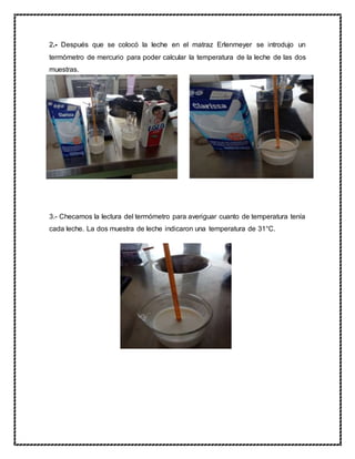 2.- Después que se colocó la leche en el matraz Erlenmeyer se introdujo un
termómetro de mercurio para poder calcular la temperatura de la leche de las dos
muestras.
3.- Checamos la lectura del termómetro para averiguar cuanto de temperatura tenía
cada leche. La dos muestra de leche indicaron una temperatura de 31°C.
 