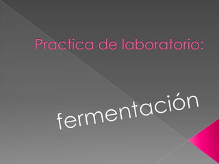 Practica de laboratorio: fermentación 