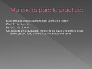 Materiales para la practica:Los materiales utilizados para realizar la practica fueron:Charola de disecciónLámpara de alcoholCascaras de piña, guayaba , medio litro de agua, una botella de petdiurex, globos, ligas, canela, cuchillo, media manzana.