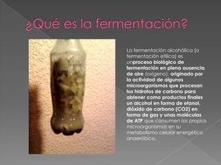 ¿Qué es la fermentación?La fermentación alcohólica (o fermentación etílica) es unproceso biológico de fermentación en plena ausencia de aire (oxígeno), originado por la actividad de algunos microorganismos que procesan los hidratos de carbono para obtener como productos finales un alcohol en forma de etanol, dióxido de carbono (CO2) en forma de gas y unas moléculas de ATP que consumen los propios microorganismos en su metabolismo celular energético anaeróbico.
