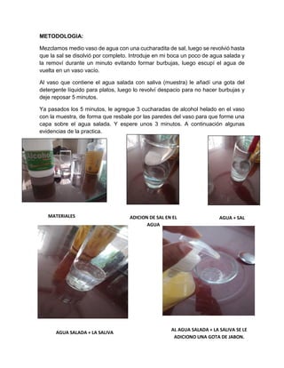 METODOLOGIA:
Mezclamos medio vaso de agua con una cucharadita de sal, luego se revolvió hasta
que la sal se disolvió por completo. Introduje en mi boca un poco de agua salada y
la removí durante un minuto evitando formar burbujas, luego escupí el agua de
vuelta en un vaso vacío.
Al vaso que contiene el agua salada con saliva (muestra) le añadí una gota del
detergente líquido para platos, luego lo revolví despacio para no hacer burbujas y
deje reposar 5 minutos.
Ya pasados los 5 minutos, le agregue 3 cucharadas de alcohol helado en el vaso
con la muestra, de forma que resbale por las paredes del vaso para que forme una
capa sobre el agua salada. Y espere unos 3 minutos. A continuación algunas
evidencias de la practica.
MATERIALES ADICION DE SAL EN EL
AGUA
AGUA + SAL
AGUA SALADA + LA SALIVA
AL AGUA SALADA + LA SALIVA SE LE
ADICIONO UNA GOTA DE JABON.
 