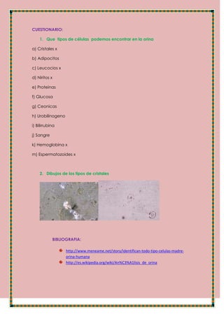 CUESTIONARIO:
1. Que tipos de células podemos encontrar en la orina
a) Cristales x
b) Adipocitos
c) Leucocios x
d) Niritos x
e) Proteinas
f) Glucosa
g) Ceonicas
h) Urobilinogeno
i) Bilirrubina
j) Sangre
k) Hemoglobina x
m) Espermatozoides x
2. Dibujos de los tipos de cristales
BIBLIOGRAFIA:
http://www.meneame.net/story/identifican-todo-tipo-celulas-madre-
orina-humana
http://es.wikipedia.org/wiki/An%C3%A1lisis_de_orina
 