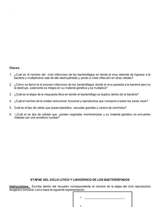 .
Claves:
1. ¿Cuál es el nombre del ciclo infeccioso de los bacteriófagos en donde el virus además de ingresar a la
bacteria y multiplicarse sale de ella destruyéndola y yendo a crear infección en otras células?
2. ¿Cómo se llama la el proceso infeccioso de los bacteriófagos donde el virus parasita a la bacteria pero no
la destruye, solamente se integra en su material genética y se multiplica?
3. ¿Cuál es la etapa de la respuesta lítica en donde el bacteriófago se duplica dentro de la bacteria?
4. ¿Cuál el nombre de la unidad estructural, funcional y reproductiva que compone a todos los seres vivos?
5. Cuál es el tipo de célula que posee plastidios, vacuolas grandes y carece de centríolos?
6. ¨¿Cuál el es tipo de células que poseen organelas membranosas y su material genético se encuentra
rodeado por una envoltura nuclear?
ETAPAS DEL CICLO LITICO Y LISOGÉNICO DE LOS BACTERIÓFAGOS
Instrucciones. Escriba dentro del recuadro correspondiente el nombre de la etapa del ciclo reproductivo
lisogénico tomando como base la siguiente representación
1. ____________________________
 
