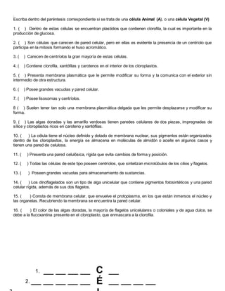 .
Escriba dentro del paréntesis correspondiente si se trata de una célula Animal (A), o una célula Vegetal (V)
1. ( ) Dentro de estas células se encuentran plastidios que contienen clorofila, la cual es importante en la
producción de glucosa.
2. ( ) Son células que carecen de pared celular, pero en ellas es evidente la presencia de un centríolo que
participa en la mitosis formando el huso acromático.
3. ( ) Carecen de centríolos la gran mayoría de estas células.
4. ( ) Contiene clorofila, xantófilas y carotenos en el interior de los cloroplastos.
5. ( ) Presenta membrana plasmática que le permite modificar su forma y la comunica con el exterior sin
intermedio de otra estructura.
6. ( ) Posee grandes vacuolas y pared celular.
7. ( ) Posee lisosomas y centríolos.
8 ( ) Suelen tener tan solo una membrana plasmática delgada que les permite desplazarse y modificar su
forma.
9. ( ) Las algas doradas y las amarillo verdosas tienen paredes celulares de dos piezas, impregnadas de
sílice y cloroplastos ricos en caroteno y xantófilas.
10. ( ) La célula tiene el núcleo definido y dotado de membrana nuclear, sus pigmentos están organizados
dentro de los cloroplastos, la energía se almacena en moléculas de almidón o aceite en algunos casos y
tienen una pared de celulosa.
11. ( ) Presenta una pared celulósica, rígida que evita cambios de forma y posición.
12. ( ) Todas las células de este tipo poseen centríolos, que sintetizan microtúbulos de los cilios y flagelos.
13. ( ) Poseen grandes vacuolas para almacenamiento de sustancias.
14. ( ) Los dinoflagelados son un tipo de alga unicelular que contiene pigmentos fotosintéticos y una pared
celular rígida, además de sus dos flagelos.
15. ( ) Consta de membrana celular, que envuelve el protoplasma, en los que están inmersos el núcleo y
las organelas. Recubriendo la membrana se encuentra la pared celular.
16. ( ) El color de las algas doradas, la mayoría de flagelos unicelulares o coloniales y de agua dulce, se
debe a la flucoxantina presente en el cloroplasto, que enmascara a la clorofila.
C
É
__
__ __ __ __
1. __ __ __ __
2. __ __ __ __ __
 