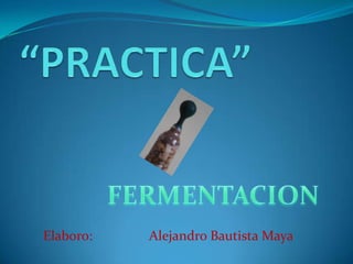 “PRACTICA” 		FERMENTACION Elaboro:		Alejandro Bautista Maya 