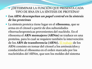  ¿DETERMINAR LA FUNCIÓN QUE PRESENTA CADA
        TIPO DE RNA EN LA SÍNTESIS DE PROTEÍNA?
 Los ARNt desempeñan un papel central en la síntesis
  de las proteínas
 La síntesis proteica tiene lugar en el ribosoma, que se
  arma en el citosol a partir de dos subunidades
  riborrucleoproteicas provenientes del nucléolo. En el
  ribosoma el ARN mensajero (ARNm) se traduce en una
  proteína, para lo cual se requiere también la intervención
  de los ARN de transferencia (ARNt). El trabajo de los
  ARNt consiste en tomar del citosol a los aminoácidos y
  conducirlos al ribosoma en el orden marcado por los
  nucleótidos del ARNm, que son los moldes del sistema
 