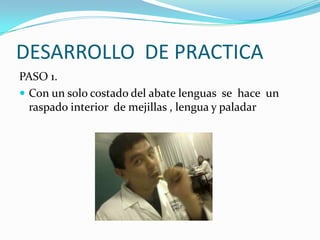 DESARROLLO DE PRACTICA
PASO 1.
 Con un solo costado del abate lenguas se hace un
  raspado interior de mejillas , lengua y paladar
 
