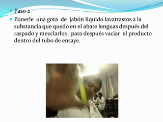  Paso 2
 Ponerle una gota de jabón liquido lavatrastos a la
 substancia que quedo en el abate lenguas después del
 raspado y mezclarlos , para después vaciar el producto
 dentro del tubo de ensaye.
 