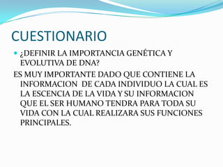 CUESTIONARIO
 ¿DEFINIR LA IMPORTANCIA GENÉTICA Y
 EVOLUTIVA DE DNA?
ES MUY IMPORTANTE DADO QUE CONTIENE LA
 INFORMACION DE CADA INDIVIDUO LA CUAL ES
 LA ESCENCIA DE LA VIDA Y SU INFORMACION
 QUE EL SER HUMANO TENDRA PARA TODA SU
 VIDA CON LA CUAL REALIZARA SUS FUNCIONES
 PRINCIPALES.
 