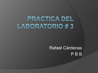 Rafael Cárdenas
PBB

 