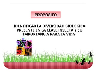 PROPÓSITO

IDENTIFICAR LA DIVERSIDAD BIOLOGICA
  PRESENTE EN LA CLASE INSECTA Y SU
     IMPORTANCIA PARA LA VIDA
 