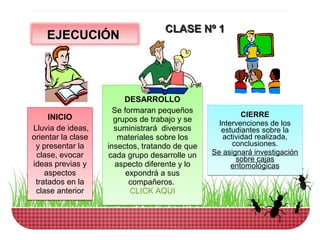 CLASE Nº 1
    EJECUCIÓN




                         DESARROLLO
                      Se formaran pequeños               CIERRE
     INICIO           grupos de trabajo y se      Intervenciones de los
Lluvia de ideas,      suministrará diversos        estudiantes sobre la
orientar la clase      materiales sobre los        actividad realizada,
 y presentar la     insectos, tratando de que         conclusiones.
 clase, evocar      cada grupo desarrolle un    Se asignará investigación
                                                       sobre cajas
ideas previas y        aspecto diferente y lo         entomológicas
    aspectos              expondrá a sus
 tratados en la            compañeros.
 clase anterior            CLICK AQUI
 