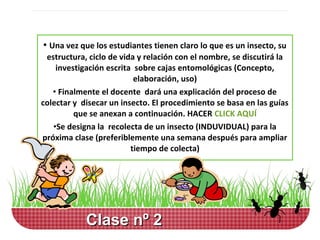 • Una vez que los estudiantes tienen claro lo que es un insecto, su
 estructura, ciclo de vida y relación con el nombre, se discutirá la
    investigación escrita sobre cajas entomológicas (Concepto,
                          elaboración, uso)
   • Finalmente el docente dará una explicación del proceso de
colectar y disecar un insecto. El procedimiento se basa en las guías
         que se anexan a continuación. HACER CLICK AQUÍ
   •Se designa la recolecta de un insecto (INDUVIDUAL) para la
próxima clase (preferiblemente una semana después para ampliar
                         tiempo de colecta)




            Clase nº 2
 