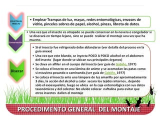 PROCEDIMENTO GENERAL DEL MONTAJE
 