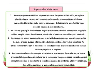 Sugerencias al docente

   1. Debido a que esta actividad requiere bastante tiempo de elaboración, se sugiere
        planificarla con tiempo, así como asignarle una alta ponderación en el plan de
       evaluación. El montaje debe hacerse por grupos de laboratorio para facilitar mas
                             atención y ayuda a cada estudiante.
2. En caso de que algún estudiante se niegue a realizar la actividad por motivos religiosos,
    fobias, alergias u otro debidamente justificado, prepare otra actividad para evaluarlo.
3. En caso de no poseer experiencia para la actividad prepárese muy bien al respecto, lea
      las guías anexas, busque información adicional, puede pedir ayuda a un colega. No
    olvide familiarizarse con el mundo de los insectos debido a que los estudiantes realizan
                                muchas preguntas al respecto.
 4. Los insectos deben colectarse por lo menos con una semana de antelación, se puede
   organizar la búsqueda en algún lugar de la comunidad (parques, plazas, zonas boscosas)
   o simplemente que el estudiante lo colecte en su zona de residencia y lo lleve al colegio.

                 Esta ultima opción es la que empleo con mayor regularidad.
 