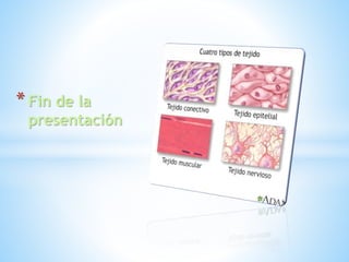 *Fin de la
presentación
 