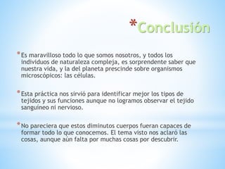 *Conclusión
*Es maravilloso todo lo que somos nosotros, y todos los
individuos de naturaleza compleja, es sorprendente saber que
nuestra vida, y la del planeta prescinde sobre organismos
microscópicos: las células.
*Esta práctica nos sirvió para identificar mejor los tipos de
tejidos y sus funciones aunque no logramos observar el tejido
sanguíneo ni nervioso.
*No pareciera que estos diminutos cuerpos fueran capaces de
formar todo lo que conocemos. El tema visto nos aclaró las
cosas, aunque aún falta por muchas cosas por descubrir.
 