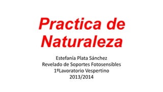 Practica de
Naturaleza
Estefanía Plata Sánchez
Revelado de Soportes Fotosensibles
1ºLavoratorio Vespertino
2013/2014

 
