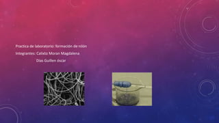 Practica de laboratorio: formación de nilón
Integrantes: Calixto Moran Magdalena
Días Guillen óscar
 