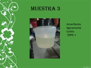 Muestra 3
Amarillenta
ligeramente
turbio
tipo 1
 