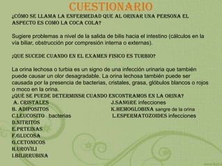 cuestionario
¿Cómo se llama la enfermedad que al orinar una persona el
aspecto es como la coca cola?
Sugiere problemas a nivel de la salida de bilis hacia el intestino (cálculos en la
vía biliar, obstrucción por compresión interna o externas).
¡QUE SUCEDE CUANDO EN EL EXAMEN FISICO ES TURBIO?
La orina lechosa o turbia es un signo de una infección urinaria que también
puede causar un olor desagradable. La orina lechosa también puede ser
causada por la presencia de bacterias, cristales, grasa, glóbulos blancos o rojos
o moco en la orina.
¿Qué SE PUEDE DETERMINSR CUANDO ENCONTRAMOS EN LA ORINA?
A. CRISTALES J.SANGRE infecciones
B. ADIPOSITOS K.HEMOGLOBINA sangre de la orina
C.LEUCOSITO bacterias L.ESPERMATOZOIDES infecciones
D.NITRITOS
E.PRTEINAS
F.GLUCOSA
G.CETONICOS
H.UROVILI
I.BILIRRUBINA
 
