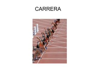 CARRERA
 