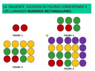 LA  SIGUIENTE  SUCESION DE FIGURAS CORRESPONDE A LOS LLAMADOS  NUMEROS RECTANGULARES. FIGURA  1 FIGURA  2 FIGURA  3 FIGURA  4 