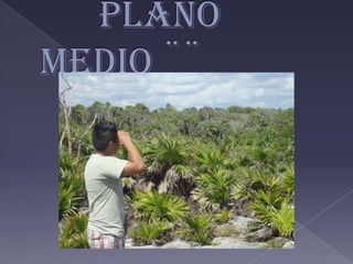 ¨¨ Plano medio ¨¨