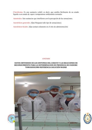 Cloroformo. Es una sustancia volátil, es decir, que cambia fácilmente de un estado
líquido a un estado de vapor a temperaturas ambientales normales
Anastesico. Son sustancias que interfieren con la percepción de las sensaciones.
Anestésicos generales. (Que bloquean todo tipo de sensaciones).
Anestésicos locales .(Que actúan solamente en el sitio de administración)
ANEXOS
DATOS OBTENIDOS DE LOS SINTOMAS DEL COBAYO Y LAS REACCIONES DE
RECONOCIMIENTO PARA LA DETERMINACION DE PRESENCIA DE CIANURO
TOMANDOCOMO REFERENCIA SOLUCIÓN MADRE
“Nada es veneno , Todo es veneno, La diferencia esta en la dosis”
 