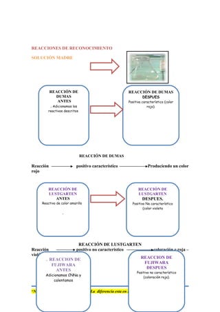 REACCIONES DE RECONOCIMIENTO
SOLUCIÓN MADRE
REACCIÓN DE DUMAS
Reacción positivo característico Produciendo un color
rojo
REACCIÓN DE LUSTGARTEN
Reacción positivo no característico coloración e roja –
violáceo
“Nada es veneno , Todo es veneno, La diferencia esta en la dosis”
REACCIÓN DE
DUMAS
ANTES
. Adicionamos los
reactivos descritos
REACCIÓN DE DUMAS
DESPUES
Positiva característico (color
rojo).
REACCIÓN DE
LUSTGARTEN
ANTES
Reactivo de color amarillo
.
. REACCION DE
FUJIWARA
ANTES
Adicionamos CNNa y
calentamos
REACCION DE
FUJIWARA
DESPUES
Positivo no característico
(coloración roja).
REACCIÓN DE
LUSTGARTEN
DESPUES.
Positivo No característico
(color violeta
 