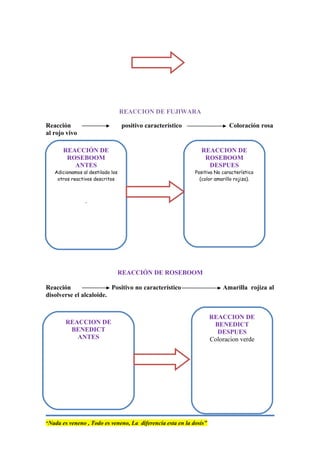 REACCION DE FUJIWARA
Reacción positivo característico Coloración rosa
al rojo vivo
REACCIÓN DE ROSEBOOM
Reacción Positivo no característico Amarilla rojiza al
disolverse el alcaloide.
G
“Nada es veneno , Todo es veneno, La diferencia esta en la dosis”
REACCIÓN DE
ROSEBOOM
ANTES
Adicionamos al destilado los
otros reactivos descritos
.
REACCION DE
ROSEBOOM
DESPUES
Positiva No característico
(color amarillo rojiza).
REACCION DE
BENEDICT
ANTES
REACCION DE
BENEDICT
DESPUES
Coloracion verde
 