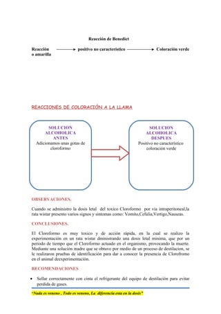 Reacción de Benedict
Reacción positivo no característico Coloración verde
o amarilla
REACCIONES DE COLORACIÓN A LA LLAMA
OBSERVACIONES.
Cuando se administro la dosis letal del toxico Cloroformo por via intraperitoneal,la
rata wistar presento varios signos y sintomas como: Vomito,Cefalia,Vertigo,Nauseas.
CONCLUSIONES.
El Cloroformo es muy toxico y de acción rápida, en la cual se realizo la
experimentación en un rata wistar dministrando una dosis letal minima, que por un
periodo de tiempo que el Cloroformo actuado en el organismo, provocando la muerte.
Mediante una solución madre que se obtuvo por medio de un proceso de destilacion, se
le realizaron pruebas de identificación para dar a conocer la presencia de Clorofromo
en el animal deexperimentación.
RECOMENDACIONES
• Sellar correctamente con cinta el refrigerante del equipo de destilación para evitar
perdida de gases.
“Nada es veneno , Todo es veneno, La diferencia esta en la dosis”
SOLUCION
ALCOHOLICA
DESPUES
Positivo no característico
coloración verde
SOLUCION
ALCOHOLICA
ANTES
Adicionamos unas gotas de
cloroformo
 