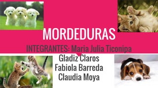 MORDEDURAS
INTEGRANTES: Maria Julia Ticonipa
Gladiz Claros
Fabiola Barreda
Claudia Moya
 
