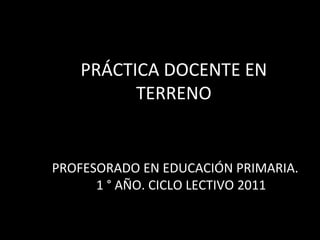 PRÁCTICA DOCENTE EN TERRENO PROFESORADO EN EDUCACIÓN PRIMARIA. 1 ° AÑO. CICLO LECTIVO 2011 