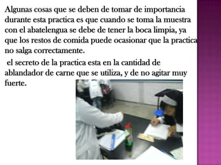 Algunas cosas que se deben de tomar de importancia
durante esta practica es que cuando se toma la muestra
con el abatelengua se debe de tener la boca limpia, ya
que los restos de comida puede ocasionar que la practica
no salga correctamente.
 el secreto de la practica esta en la cantidad de
ablandador de carne que se utiliza, y de no agitar muy
fuerte.
 