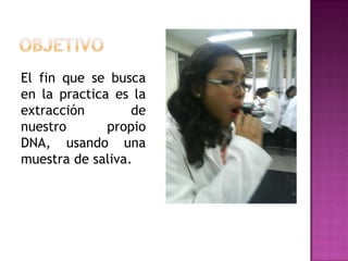 El fin que se busca
en la practica es la
extracción        de
nuestro       propio
DNA, usando una
muestra de saliva.
 