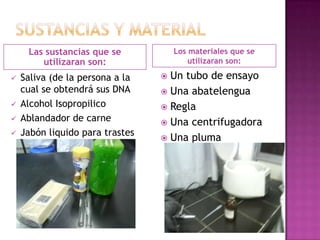 Las sustancias que se           Los materiales que se
        utilizaran son:                  utilizaran son:

   Saliva (de la persona a la    Un tubo de ensayo
    cual se obtendrá sus DNA      Una abatelengua
   Alcohol Isopropilico          Regla
   Ablandador de carne           Una centrifugadora
   Jabón liquido para trastes
                                  Una pluma
 