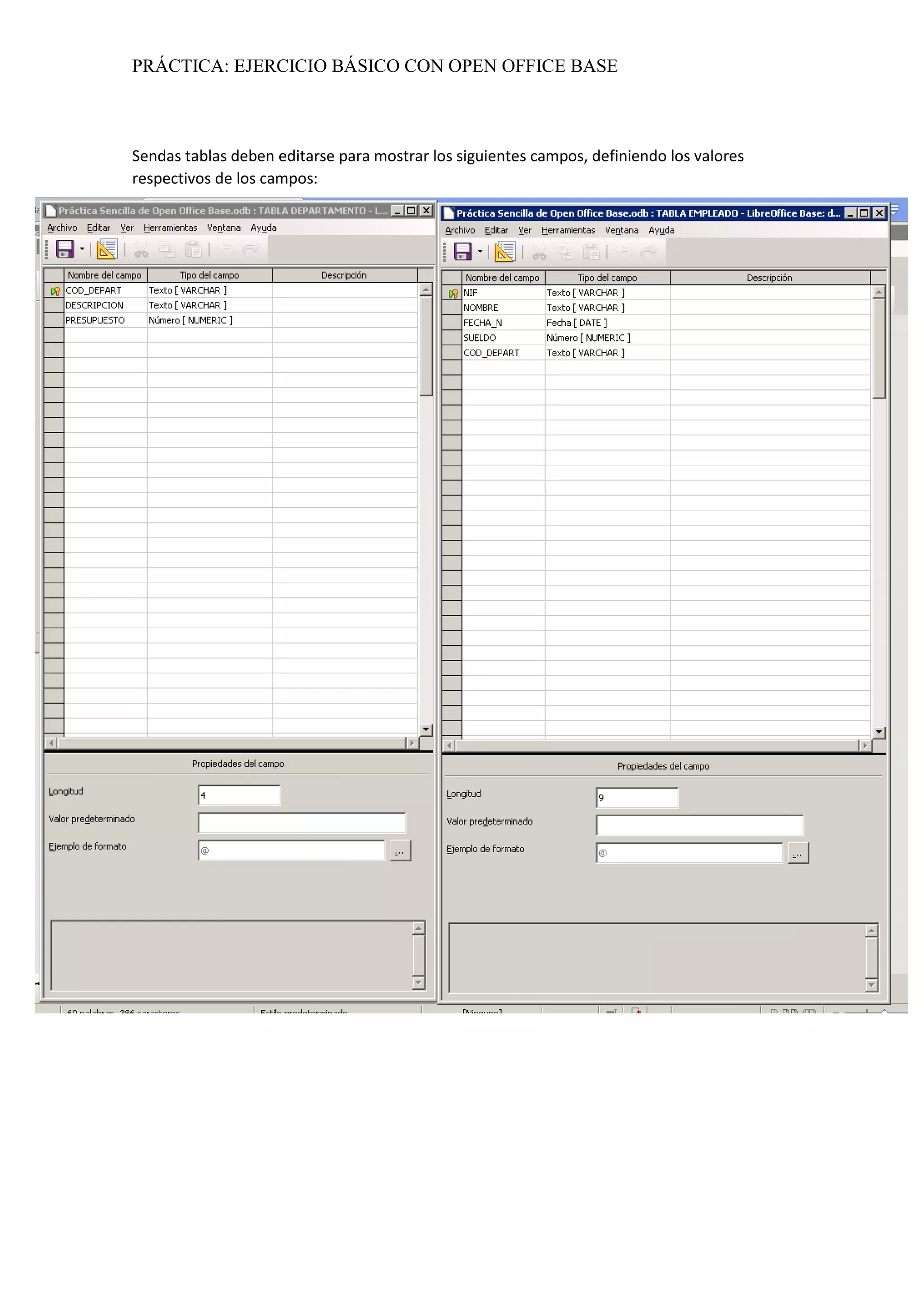 PRÁCTICA: EJERCICIO BÁSICO CON OPEN OFFICE BASE
Sendas tablas deben editarse para mostrar los siguientes campos, definiendo los valores
respectivos de los campos:
 