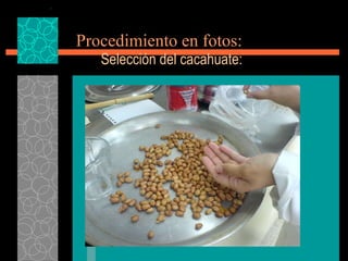 Procedimiento en fotos: Selección del cacahuate: