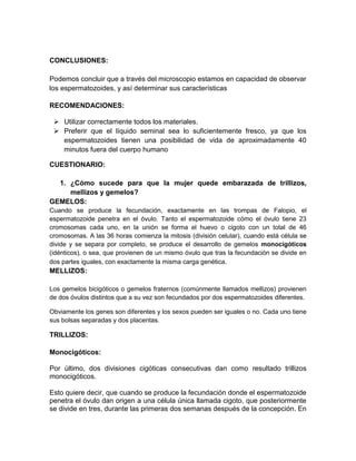 CONCLUSIONES:
Podemos concluir que a través del microscopio estamos en capacidad de observar
los espermatozoides, y así determinar sus características
RECOMENDACIONES:
 Utilizar correctamente todos los materiales.
 Preferir que el líquido seminal sea lo suficientemente fresco, ya que los
espermatozoides tienen una posibilidad de vida de aproximadamente 40
minutos fuera del cuerpo humano
CUESTIONARIO:
1. ¿Cómo sucede para que la mujer quede embarazada de trillizos,
mellizos y gemelos?
GEMELOS:
Cuando se produce la fecundación, exactamente en las trompas de Falopio, el
espermatozoide penetra en el óvulo. Tanto el espermatozoide cómo el óvulo tiene 23
cromosomas cada uno, en la unión se forma el huevo o cigoto con un total de 46
cromosomas. A las 36 horas comienza la mitosis (división celular), cuando está célula se
divide y se separa por completo, se produce el desarrollo de gemelos monocigóticos
(idénticos), o sea, que provienen de un mismo óvulo que tras la fecundación se divide en
dos partes iguales, con exactamente la misma carga genética.

MELLIZOS:
Los gemelos bicigóticos o gemelos fraternos (comúnmente llamados mellizos) provienen
de dos óvulos distintos que a su vez son fecundados por dos espermatozoides diferentes.
Obviamente los genes son diferentes y los sexos pueden ser iguales o no. Cada uno tiene
sus bolsas separadas y dos placentas.

TRILLIZOS:
Monocigóticos:
Por último, dos divisiones cigóticas consecutivas dan como resultado trillizos
monocigóticos.
Esto quiere decir, que cuando se produce la fecundación donde el espermatozoide
penetra el óvulo dan origen a una célula única llamada cigoto, que posteriormente
se divide en tres, durante las primeras dos semanas después de la concepción. En

 