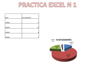 PRACTICA EXCEL N 1 