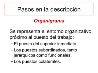Organigrama Se representa el entorno organizativo próximo al puesto del trabajo: El puesto del superior inmediato. Los puestos subordinados, tanto jerárquicos como funcionales. Los puestos colaterales. Pasos en la descripción 