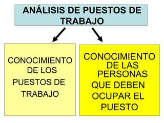 ANÁLISIS DE PUESTOS DE TRABAJO CONOCIMIENTO DE LOS  PUESTOS DE  TRABAJO CONOCIMIENTO DE LAS PERSONAS QUE DEBEN  OCUPAR EL  PUESTO 