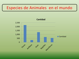 Especies de Animales en el mundo
0
500
1,000
1,500
2,000
2,500
Cantidad
Cantidad
 