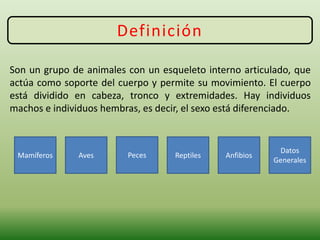 Definición
Son un grupo de animales con un esqueleto interno articulado, que
actúa como soporte del cuerpo y permite su movimiento. El cuerpo
está dividido en cabeza, tronco y extremidades. Hay individuos
machos e individuos hembras, es decir, el sexo está diferenciado.
Mamíferos Aves Peces Reptiles Anfibios
Datos
Generales
 