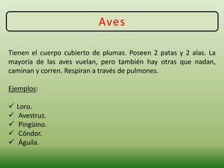 Aves
Tienen el cuerpo cubierto de plumas. Poseen 2 patas y 2 alas. La
mayoría de las aves vuelan, pero también hay otras que nadan,
caminan y corren. Respiran a través de pulmones.
Ejemplos:
 Loro.
 Avestruz.
 Pingüino.
 Cóndor.
 Águila.
 