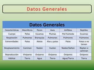 Datos Generales
Datos Generales
Características Mamíferos Peces Aves Anfibios Reptiles
Cuerpo Pelos Escamas Plumas Piel húmeda Escamas
Respiración Pulmones Branquias Pulmones Pulmones Pulmones
Extremidades Patas Aletas Alas y patas Patas Patas o no
tienen
Desplazamiento Caminan Nadan Vuelan Nadan/Saltan Reptan o
caminan
Reproducción Vivíparos Ovíparos Ovíparos Ovíparos Ovíparos
Hábitat Tierra Agua Tierra Agua/Tierra Tierra
 